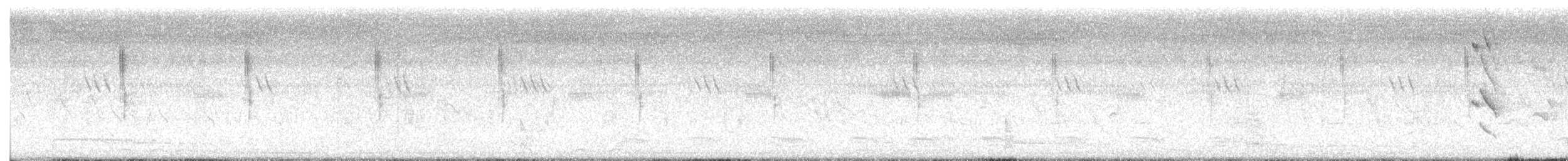 セッカ - ML641898541