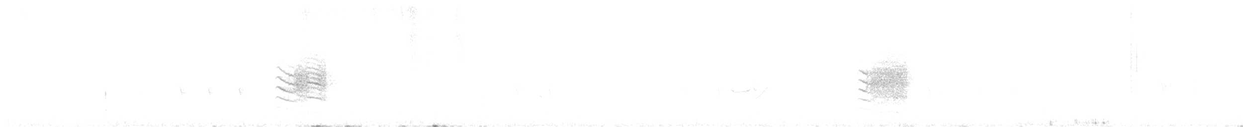 tyrkerspettmeis - ML641899300