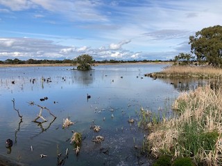 Edithvale-Seaford Wetlands--Edithvale, Kingston, Victoria, Australia ...