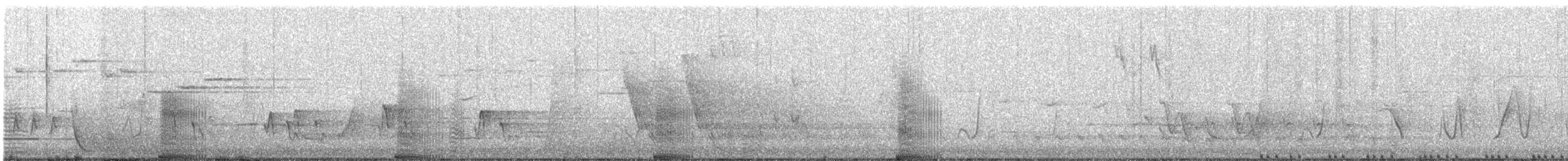 Lewin's Rail - ML641899606