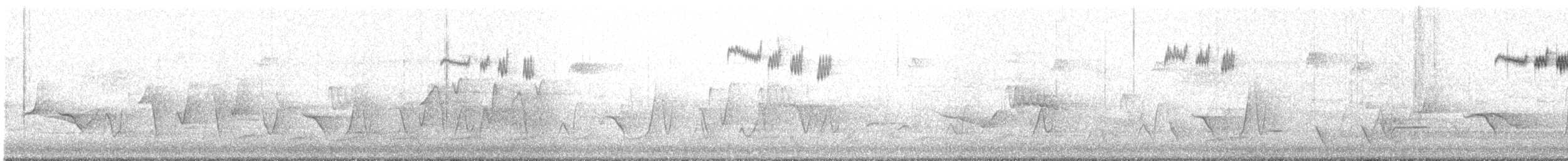 Variegated Fairywren - ML641899635