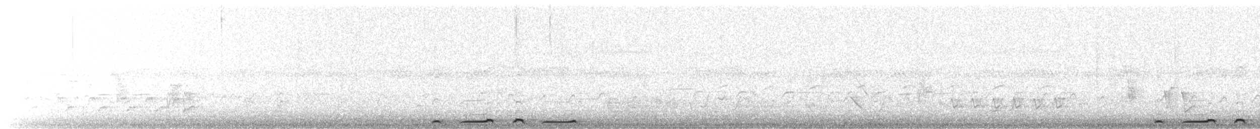 Bar-shouldered Dove - ML641900897
