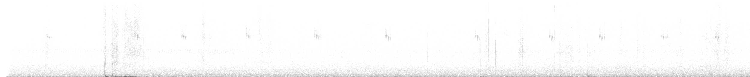 Túrdido sp. - ML641901888