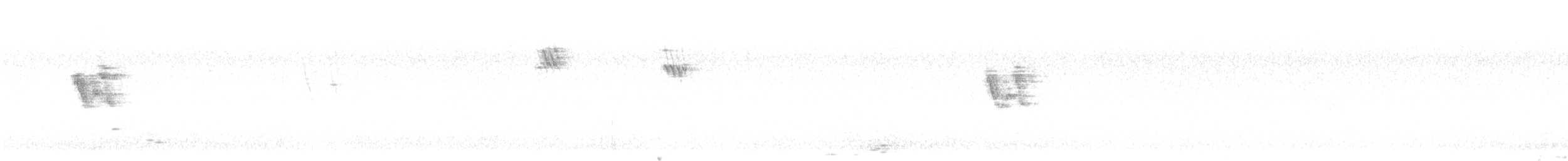 Bergeronnette grise - ML641902486