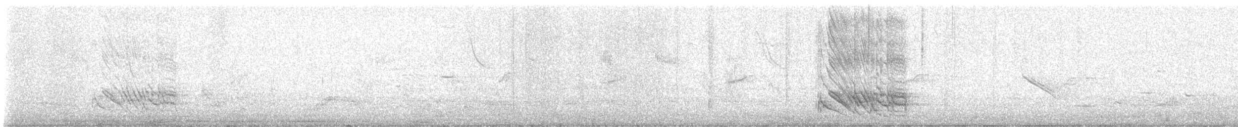 Black-faced Cuckooshrike - ML641902868