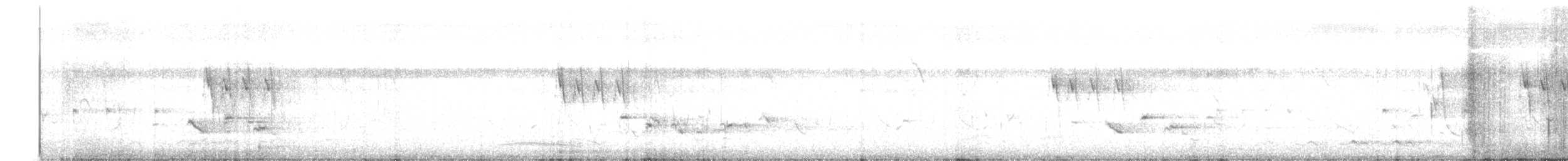 White-browed Wagtail - ML641903222