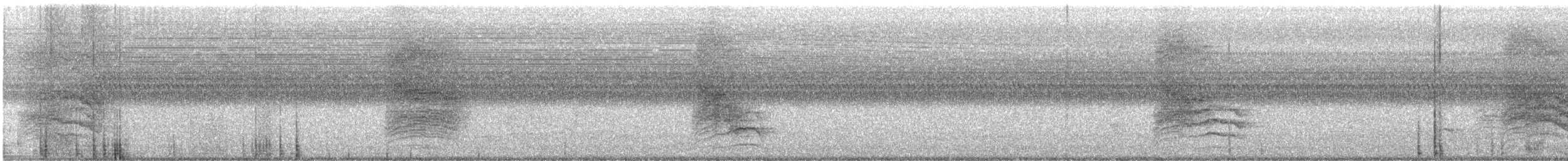 Gray Catbird - ML641903766