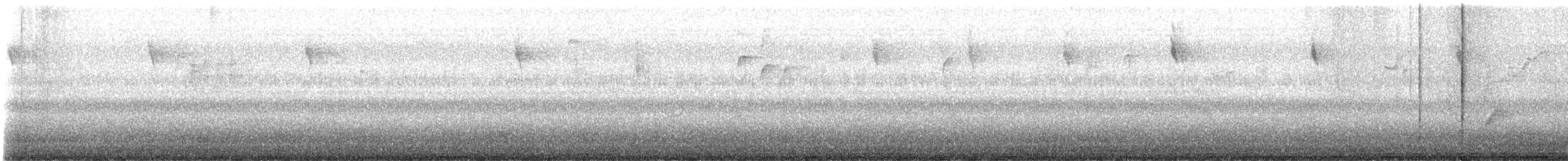 new world warbler sp. - ML641904597