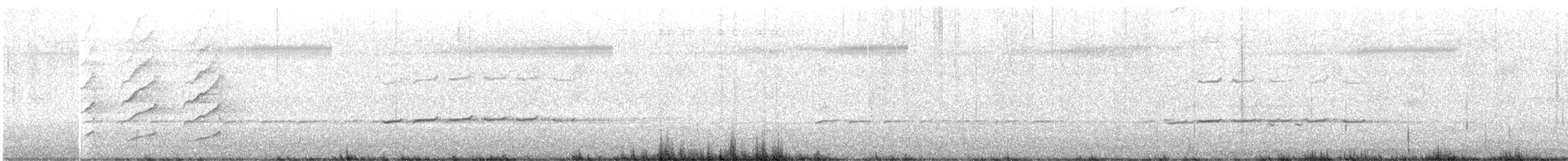 Noisy Miner - ML641905339