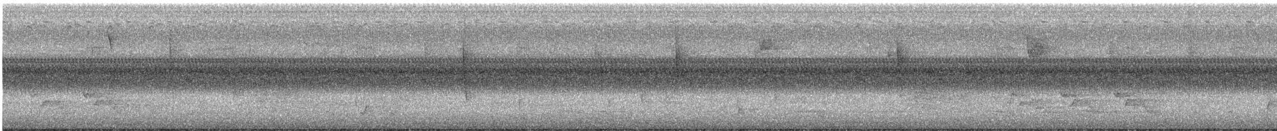 drozd západní - ML641905452