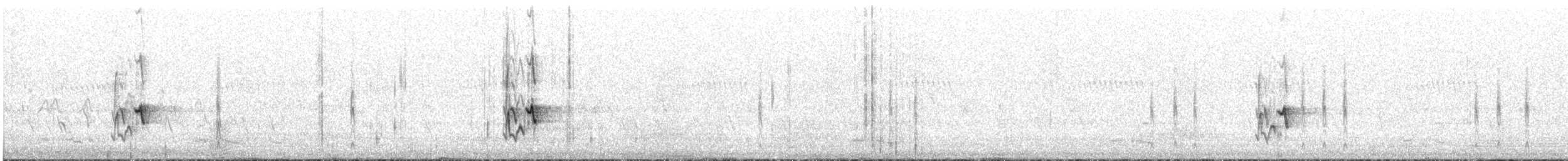 Western Spinebill - ML641906343
