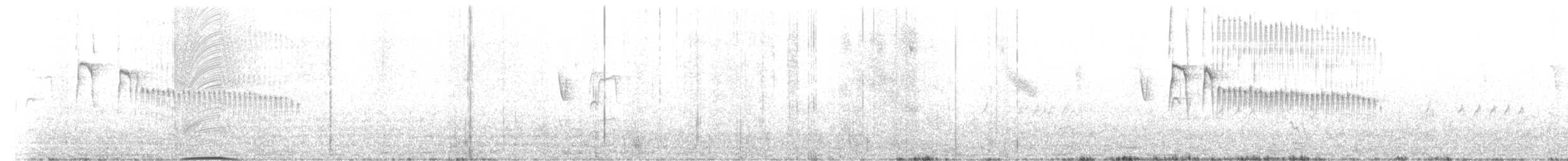 Straneck's Tyrannulet - ML641906422