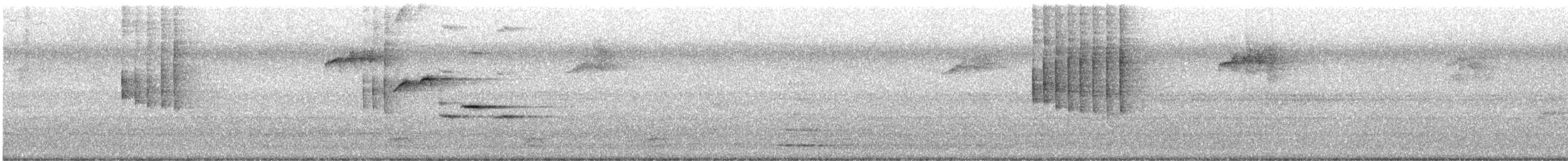 Spot-breasted Fantail - ML641906695