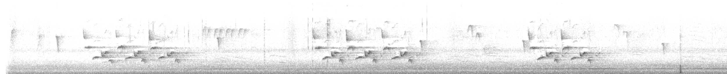 Carolina Wren - ML641907389