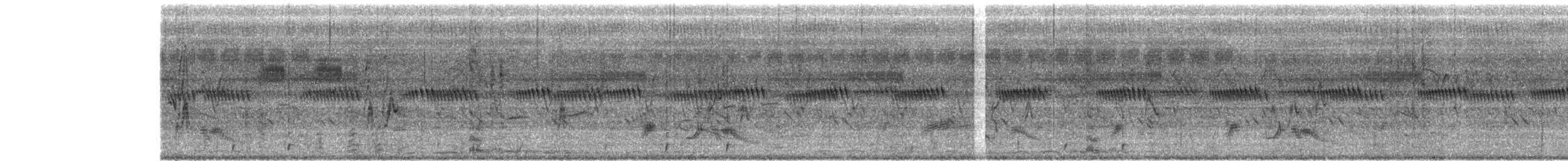 白腹秧雞 - ML641907684