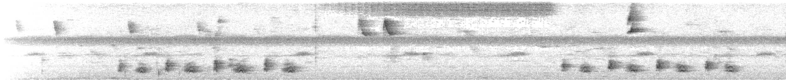 Jet Antbird - ML641909038