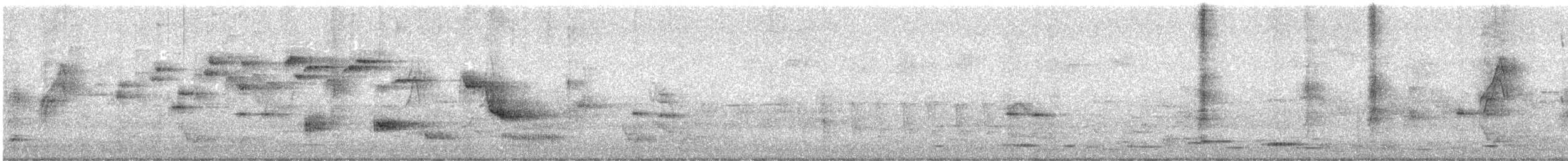 Welcome Swallow - ML641909597
