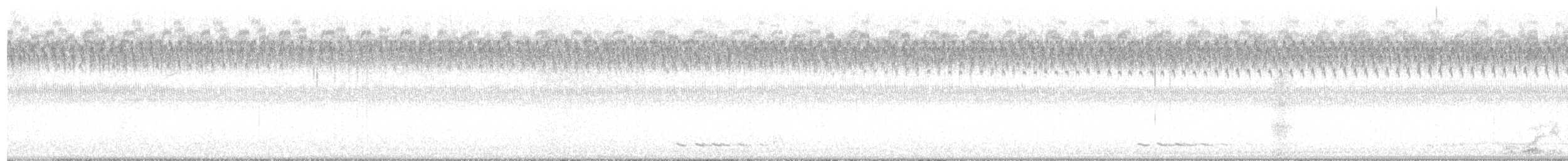 קוקיה שחורת-מקור - ML641909669