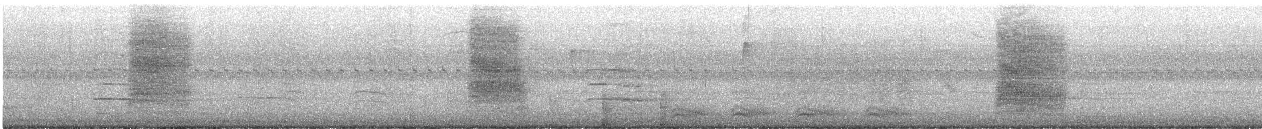 Miaulari grisa - ML641910050
