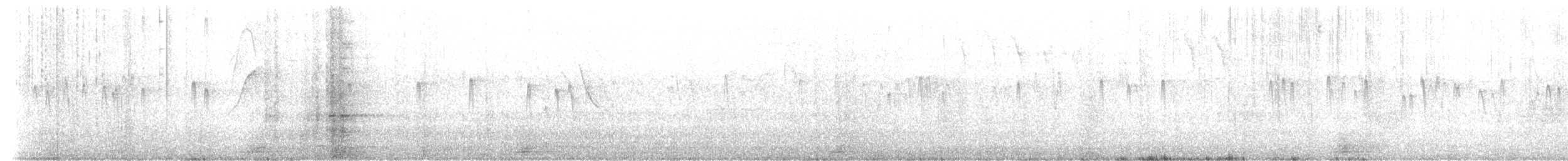 Sick's Swift - ML641910136