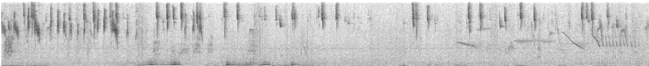 Kurzschnabel-Gilbtangare - ML641910733