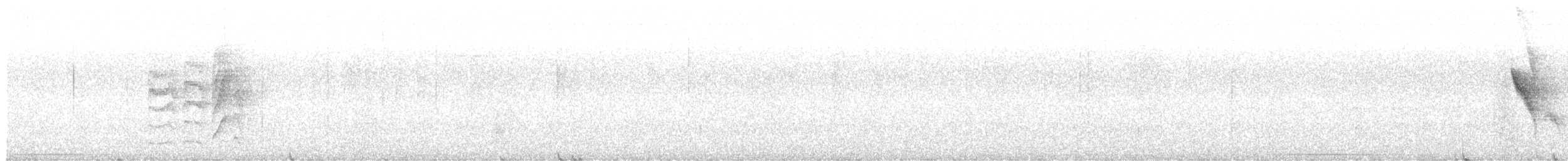 Greenish Elaenia - ML641911157