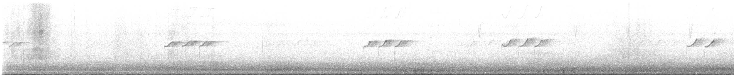 Solitary Sandpiper - ML641911885