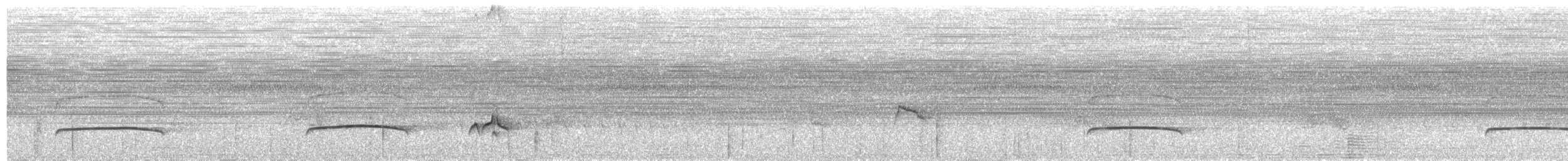 Dusky-capped Flycatcher - ML641912211