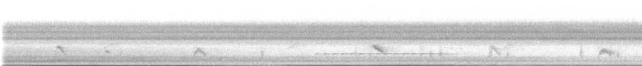Grauwangen-Musendrossel - ML641913056