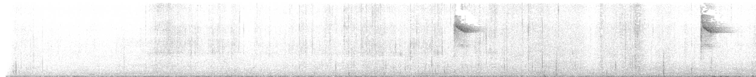 White-browed Warbler - ML641913343