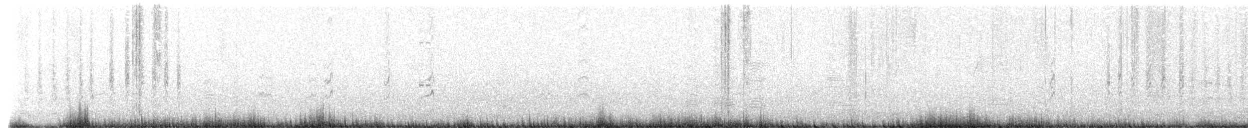 Semipalmated Sandpiper - ML641914218