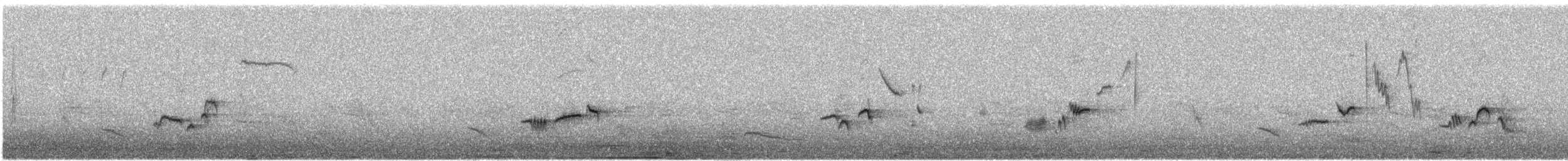 Cape Robin-Chat - ML641914806