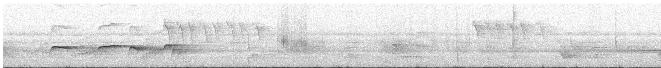 Southern Antpipit - ML641915465
