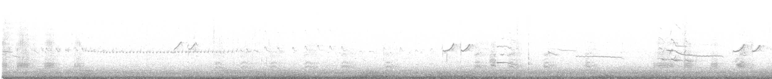Solitary Sandpiper - ML641916947