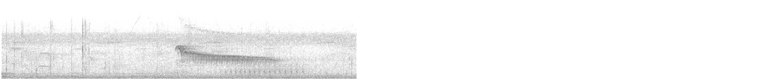 stripehodetreløper - ML641917899