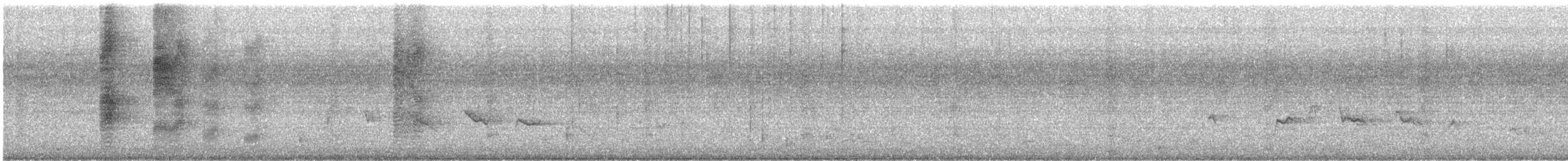 Masked Tityra - ML641919637