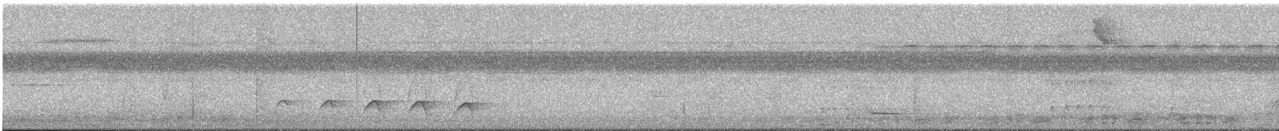 Myrmidon à flancs blancs - ML641919679