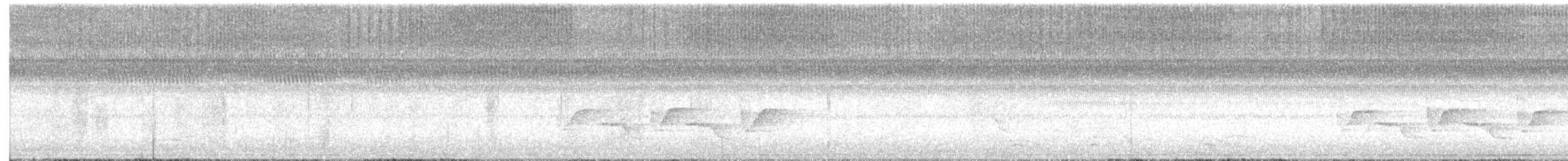 Carolina Wren - ML641921368