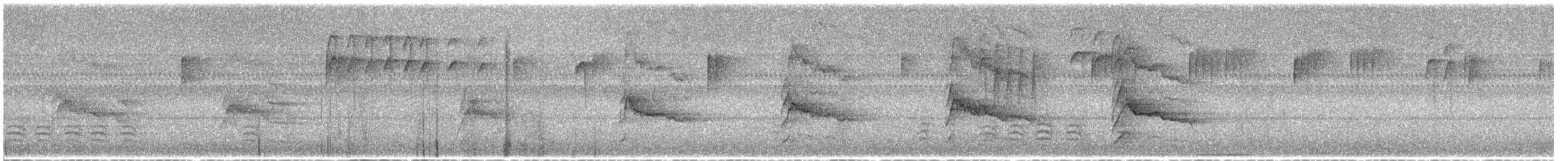 Gavilán de Cooper - ML641921579