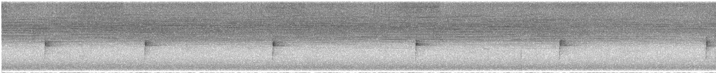 Northern Waterthrush - ML641921642