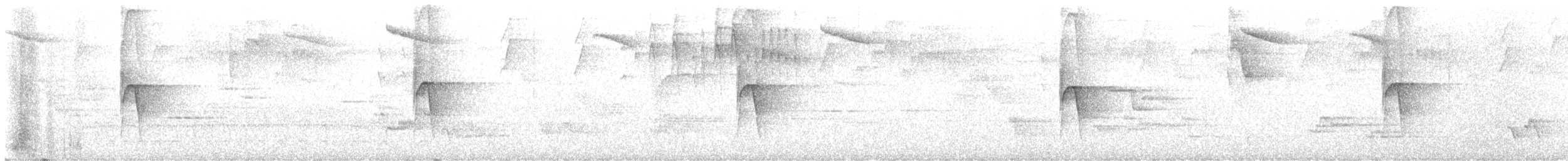 Middle American Leaftosser (Mexican) - ML641921924