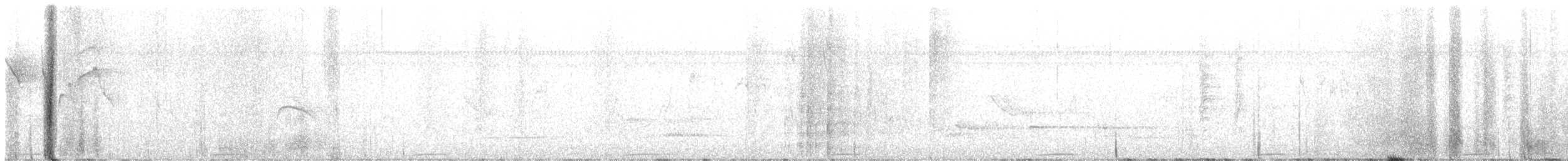 Mondetourtäubchen - ML641922211