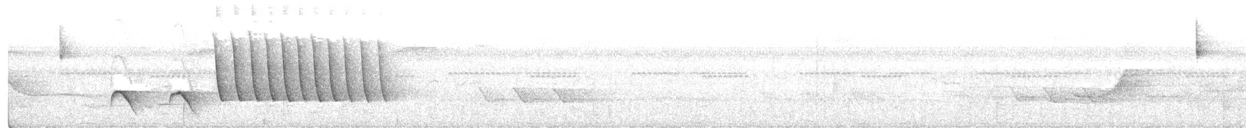 grønnryggspurv - ML641923109