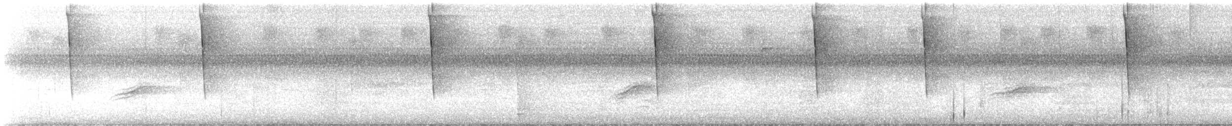 rødsidetovi - ML641923174