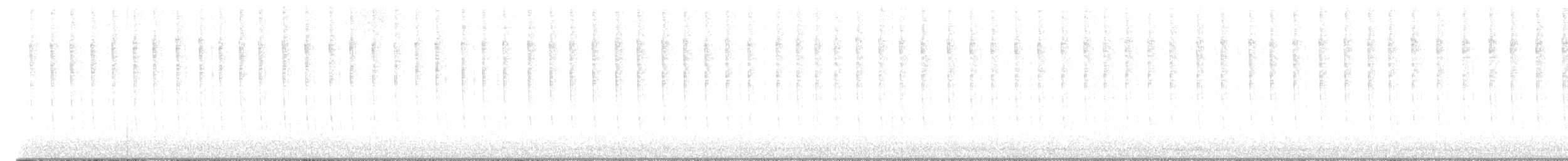 Allen's Hummingbird - ML641924706