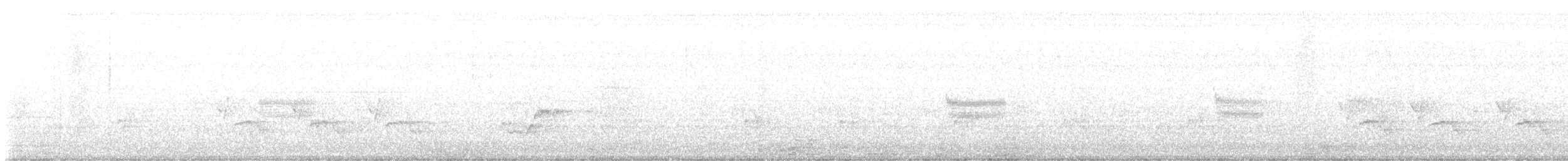 Louisianawürger - ML641925085