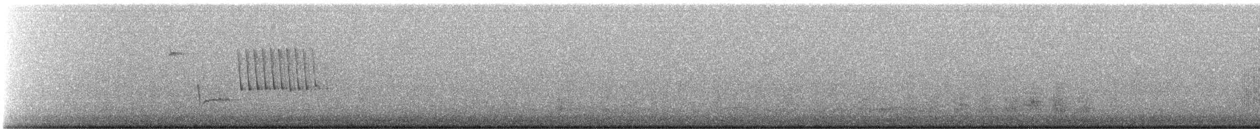 Rostflügelammer - ML641925541