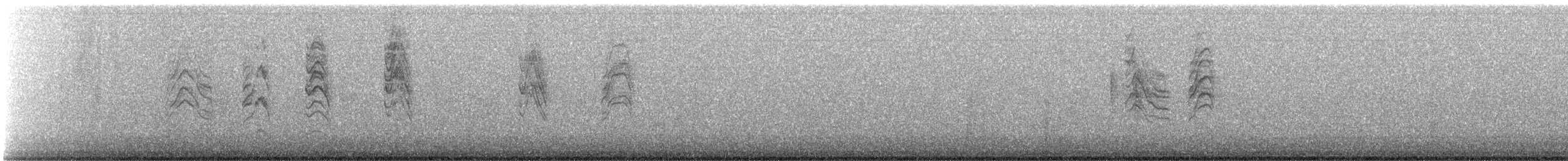 Комароловка сиза [група obscura] - ML641925722