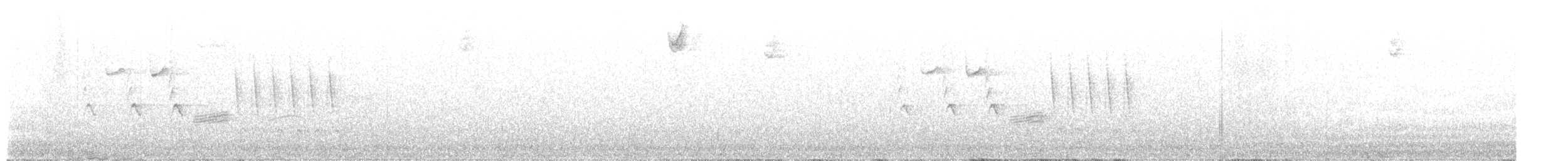Bewick's Wren - ML641925995