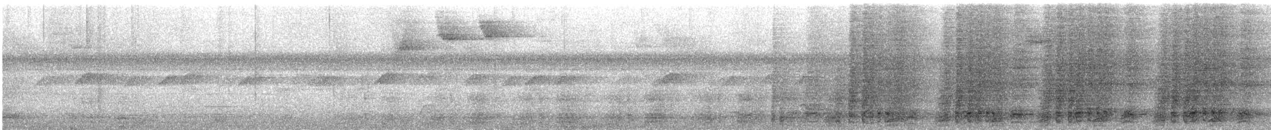 Speckled Chachalaca - ML641927082